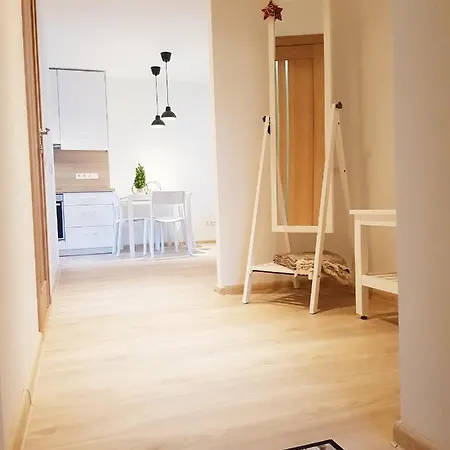 New Center דירה דרוסקינינקאי