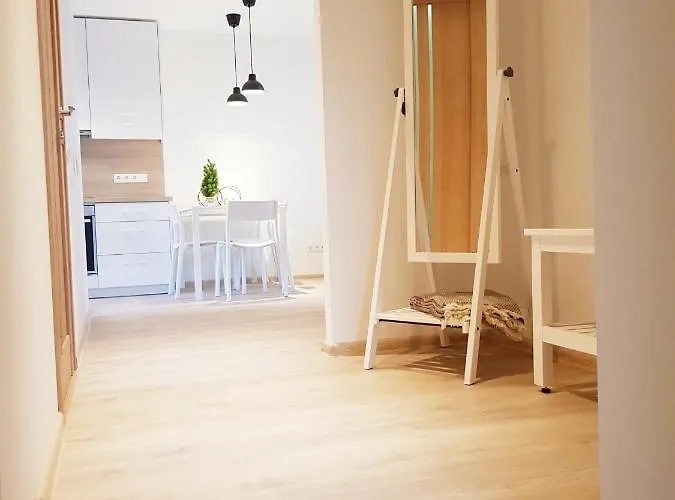 New Center Апартаменты Друскининкай